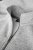 Woman fashionable trainer, grey melange